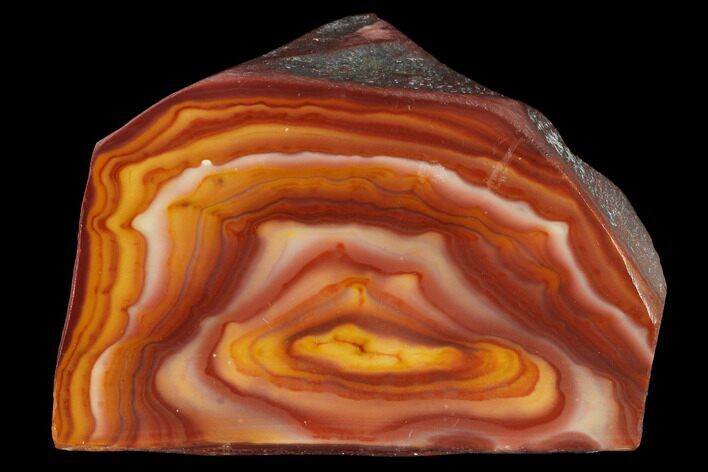 Polished Banded Rhyolite (Hickoryite) Slab - Mexico #152666